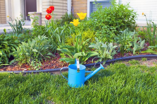 Beautiful garden maintenance services in East Ham