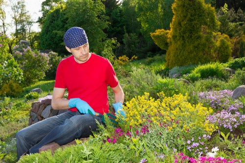 A man wearing a blue beanie, red t-shirt, grey pants, and blue gardening gloves is kneeling in a vibrant garden with a variety of flowering plants and shrubs. The garden features neatly arranged flower beds with purple, yellow, and pink blossoms, bordered by lush green foliage. In the background, tall trees and dense greenery provide privacy and a natural backdrop, with sunlight illuminating the scene on a bright day. The man appears to be engaged in gardening activities such as planting or pruning, contributing to the well-maintained appearance of the outdoor space, which includes grass, flower beds, and diverse plantings, typical of a landscaped yard in the East Ham area. This setting showcases the type of garden care services provided by Garden Maintenance East Ham, focusing on plant health and garden aesthetics.